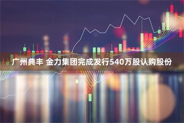 广州典丰 金力集团完成发行540万股认购股份
