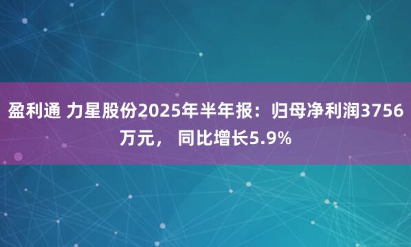 盈利通 力星股份2025年半年报：归母净利润3756万元， 同比增长5.9%