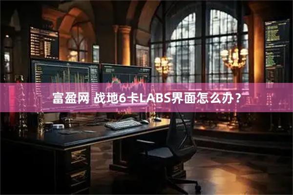 富盈网 战地6卡LABS界面怎么办？