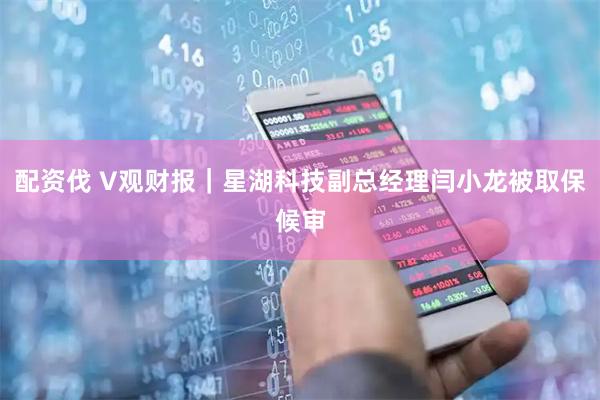 配资伐 V观财报｜星湖科技副总经理闫小龙被取保候审